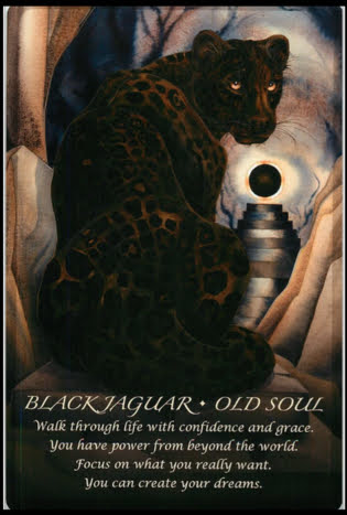 Spirits of the Animals Oracle